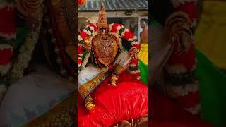 Nanguneri Sri Vanamamalai Perumal Kovil|Sri Varamangai Thayar sametha Sri Deivanayaga Perumal #short