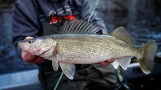Spring River Tips & Techniques to catch more Walleye!