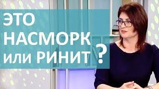 КАК ОТЛИЧИТЬ НАСМОРК ОТ РИНИТА؟ ДИАГНОСТИКА И ЛЕЧЕНИЕ