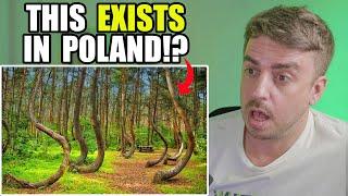 Canadian Reacts to Why Everyone Is Talking About Poland! | 44 Facts You Didn't Know
