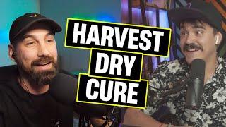 Tips For Harvesting, Drying & Curing Plants!