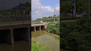 이천 죽당천 신비의 구피천 위치 주차팁
