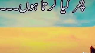 Ss shahid ss