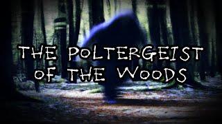 The Poltergeist of the Woods | Creepy Horror Story