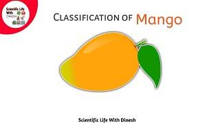 Classification of Mango || आम का वर्गीकरण || Easy Trick