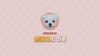 아프니까(리카) 파프리카 | 견주리카 1편 " 장군이의 하루 "