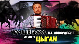 Черный ворон на аккордеоне | играет цыган Даня Боровик