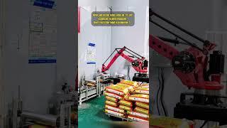 Borunte palletizing robot #robot #automate #borunte #machinery #intelligence #automation #industry