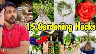 My 15 Gardening Hacks you must know | Rose Plant DIY (Part-5)