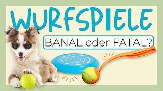 BEACHTE DIESE TIPPS, SONST KANN DAS SPIEL MIT HUND ERNSTE FOLGEN HABEN 