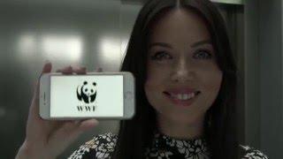 Ирина Волкова, Новый канал, WWF