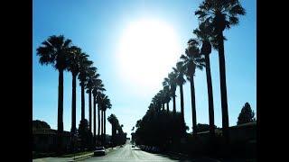 Beauty of Loma Linda City (로마 린다), CA, USA