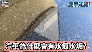 《愛車知識+ EP11 》汽車為什麼會有水痕水垢?