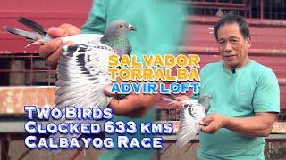 FULL VIDEO | ADVIR LOFT Two Birds Clocked 633 kms Calbayog Race