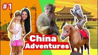 Chinese Adventures with KidsFunShow| Visit Hainan |Travel vlog China #1