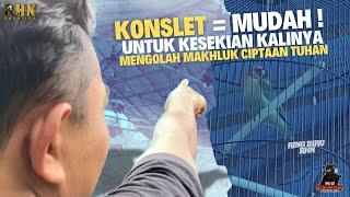 MENGOLAH MAKHLUK CIPTAAN TUHAN | LOVEBIRD KONSLET RING BIRU RHN