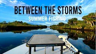 Snook & Tarpon Fishing Florida