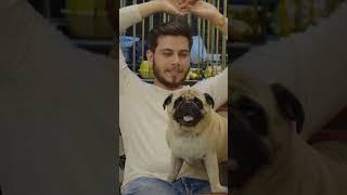 Nitish Rajput Gf Shorts Halka Halka Suroor #nitishrajput #youtuber #love #ytshorts #short #viral