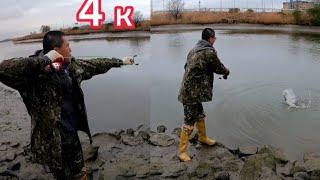 Настрылял сазанов на рогатку в морском заливе . 4к видео  перезалив