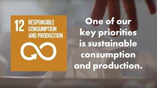 SDG 12: Responsible consumption and production