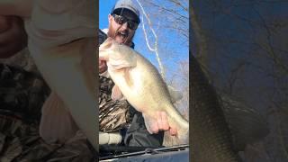 Jigs Catch Giants! 7lb Ohio Bass!