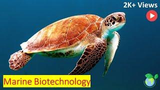 Exploring the Untapped Potential of Marine Biotechnology - Explained in 5 Minutes