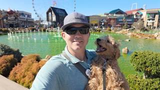 The Island In Pigeon Forge St. Patrick's Day Celebration | Is It Dog Friendly?
