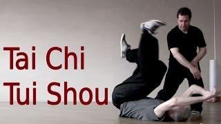 Tai Chi Tui Shou Training 太极推手教学