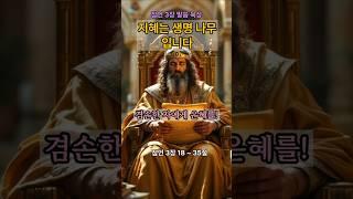 지혜는 생명나무요, 겸손한 자에게 은혜를 주신다｜잠언 3장 18~35절 말씀