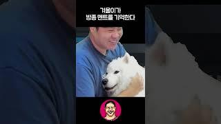 겨울이가 방종 멘트를 알아들어요 #Shorts