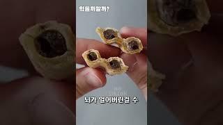얼려먹어야 맛있음
