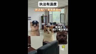 执法有温度 #猫meme小剧场 #暖心 #正能量 #真实故事 #猫meme  #cat #故事 #funny  #貓 #pets #搞笑  #迷恋 #cute #貓咪