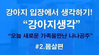 강아지생각ㅣ몸살편ㅣ강아지키우기 전 우리 아이들 생각 읽기!