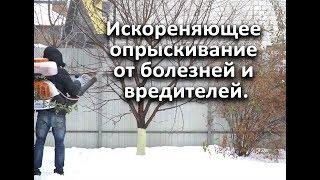 Искореняющее опрыскивание от болезней и вредителей. Сделайте и останетесь довольны результатом.