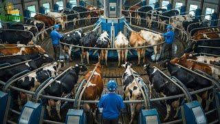 ​Inside the High-Tech Cattle Fattening Farm Shocking the World | Processing Factory
