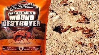 Fire Ant Mound Destroyer - Spectracide Fire Ant Killer