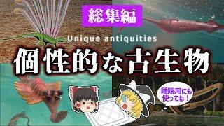 【睡眠用・ゆっくり解説】ユニークな古代生物特集！　オパビニア/ターリーモンスター/タニストロフェウスなど【広告最初のみ　途中広告なし】