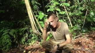 Jungle survival: bowhunting