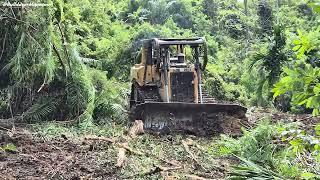 Caterpillar D6R XL Bulldozer in Action | Land Clearing & Road Construction for Local Farmers