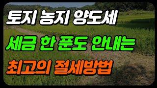 토지 양도세 최고의 절세방법(농지, 비사업용 토지)