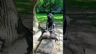 Кот учёный — персонаж стихотворения Александра Пушкина «У лукоморья дуб зелёный». 