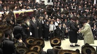 The wedding of the grandson of the Rebbe of Moiznitz #ChassidicTradition #RebbeFamily #JewishWedding