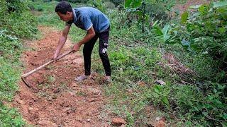 Make a Road to the Main Road, and Climb Trees to Pick Flowers to Cook Lunch | Farmer family