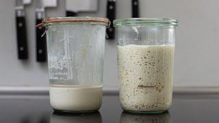 Can you bake with unfed starter straight out of the fridge? | Foodgeek
