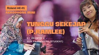 Tunggu Sekejap | P.Ramlee cover