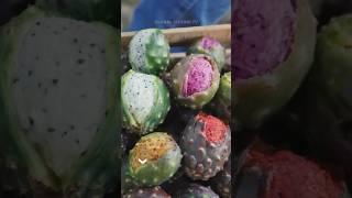 Amazing Cactus Fruit Harvesting Technique - Pitayas | Global Cuisine TV #shorts