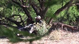 2018 Gould's Turkey Hunt-Leiza Fitzgerald and Jay Scott