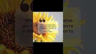 Powerful Wisdom: Forgiveness, Faith, and Grace #kindness #motivation #wisdom #patience #hazratali