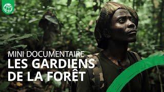 Les gardiens de la forêt : Protéger les poumons de la République Centrafricaine