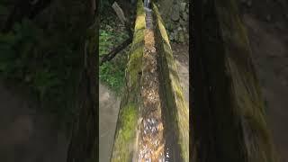 korea traditional water flowing #korea #water #traditional #happy #beautiful #clear #cleanwater
